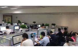 催收查到我有车：揭秘逾期债务催收中的资产核查