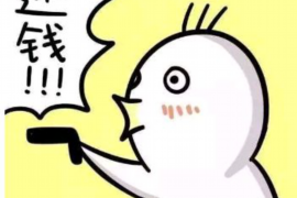 四川讨债律师一对一咨询：专业法律援助，解决您的债务难题