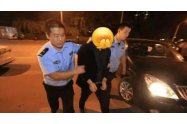 催收发短信挂网逃：揭秘恶意催收背后的法律风险