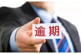 讨债总裁缠上身：揭秘企业债务危机与应对策略