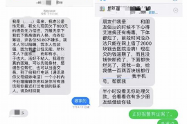 桐庐县专业讨债：高效解决债务难题的利器