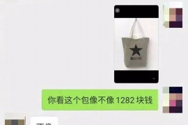 讨债的弱势群体是什么意思？