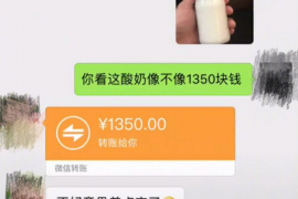 支付宝平台车险客服催收：如何应对与应对策略