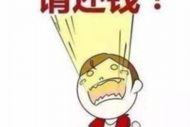 期待科技不催收了：科技发展中的道德边界与人性化关怀