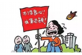 和县讨债公司：揭秘债务催收行业现状及合法途径