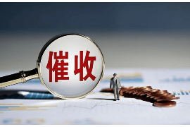 司马江讨债在线阅读：揭秘债务追讨的智慧与策略