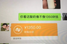 强烈对比讨债的儿子：亲情与债务的纠葛