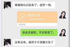 上古卷轴布林乔夫讨债：揭秘游戏中的财务纠纷与解决之道